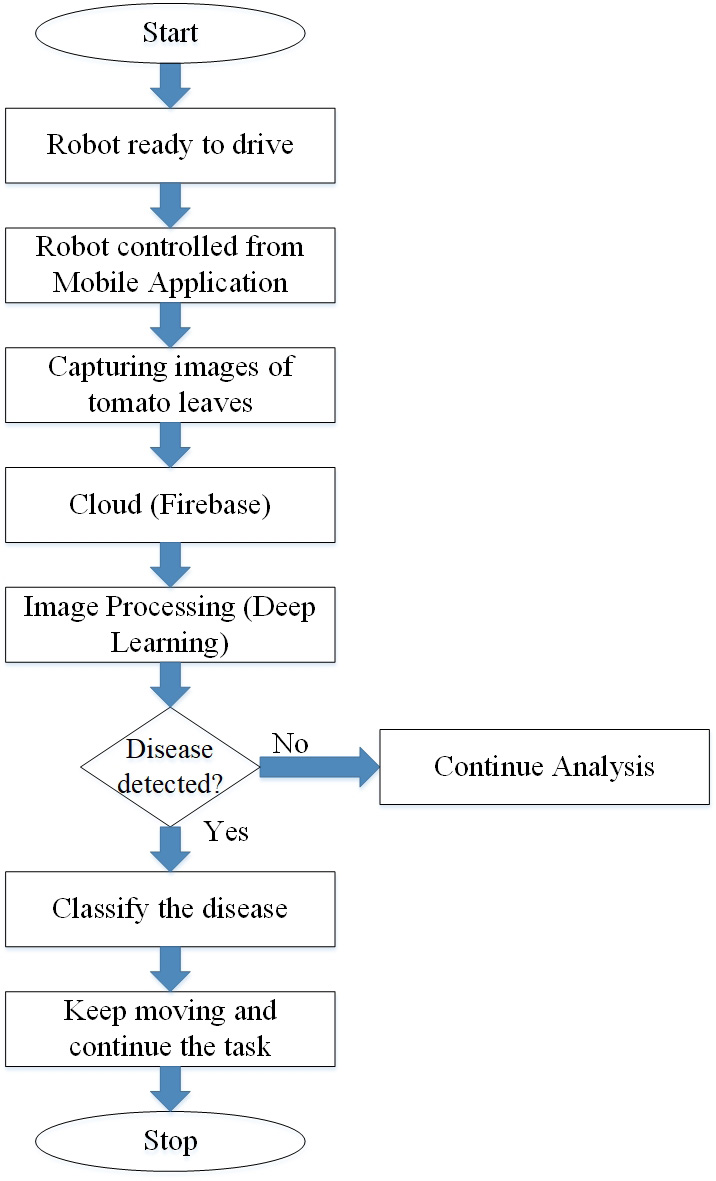 fig4.jpg