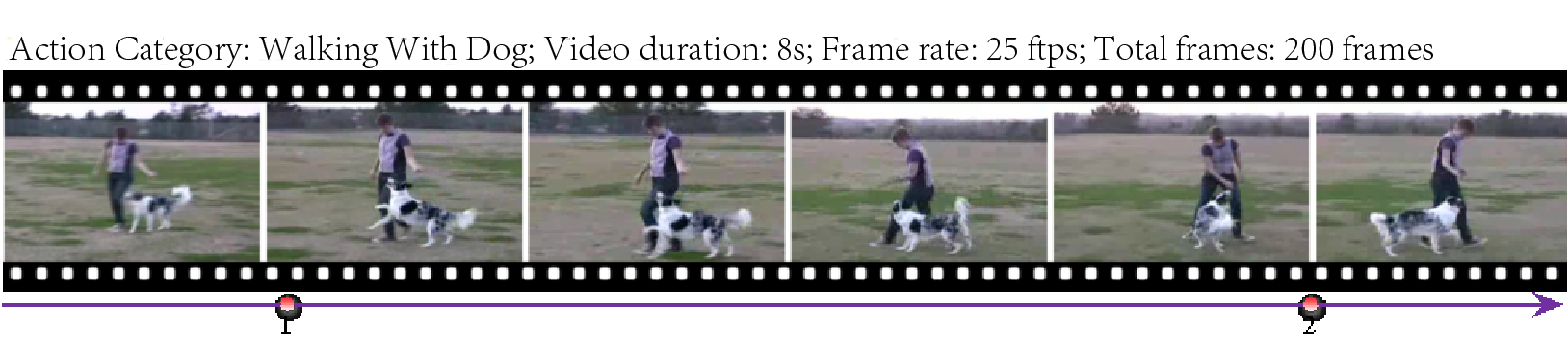 fig1b.png