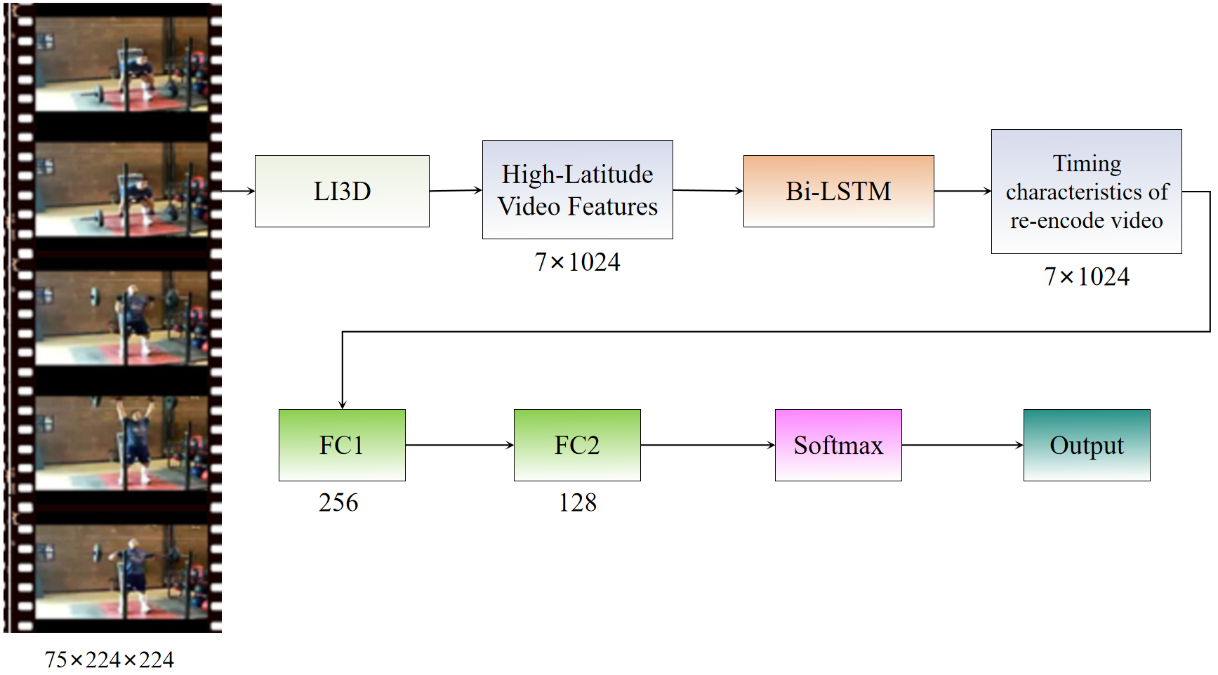 fig7.png