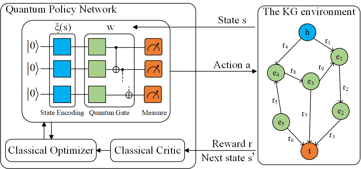 Knowledge Graph Reasoning with Quantum-Inspired Reinforcement Learning