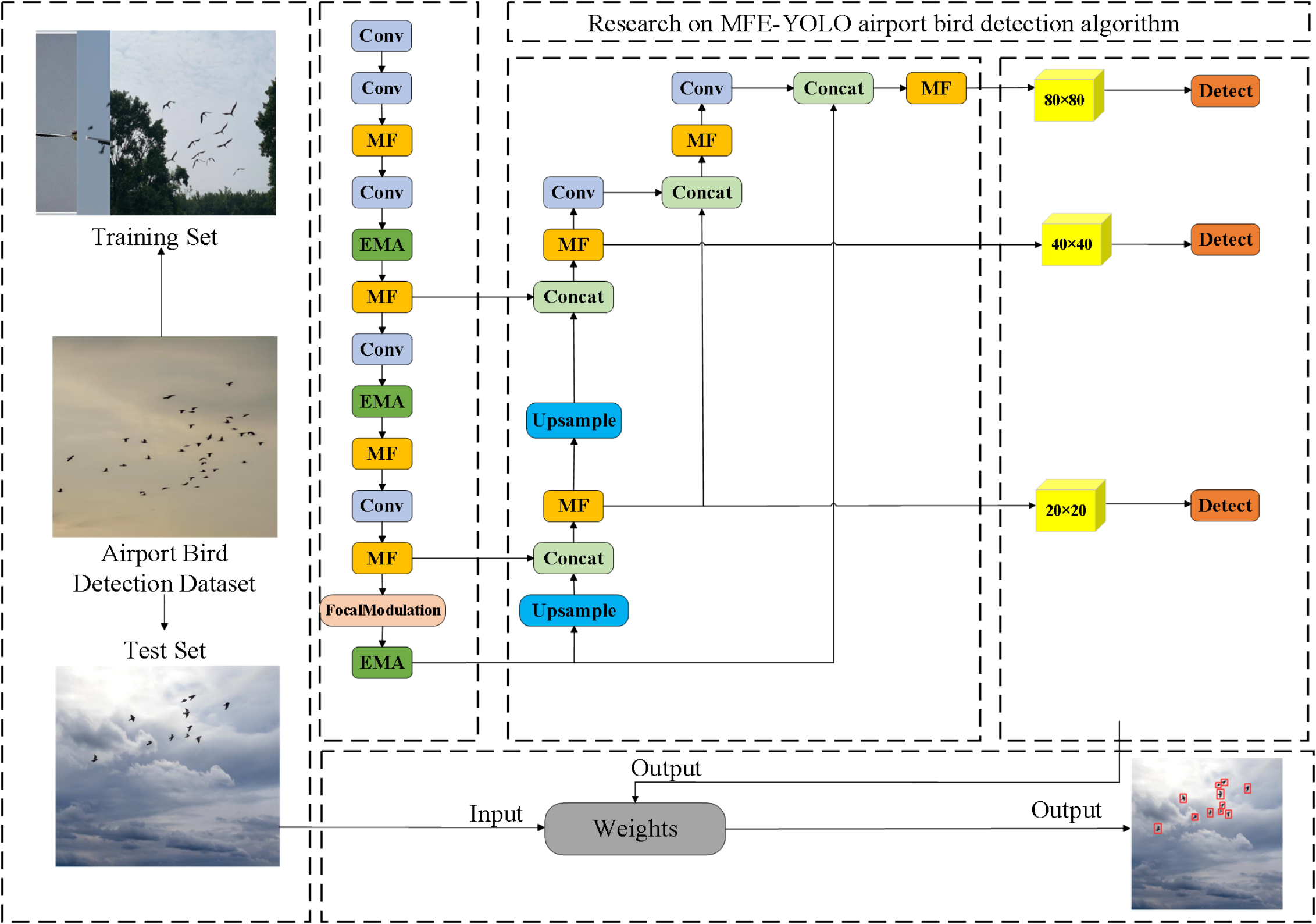 MFE-YOLO: A Multi-feature Fusion Algorithm for Airport Bird Detection